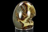 Calcite Crystal Filled Septarian Geode Egg - Utah #123845-1